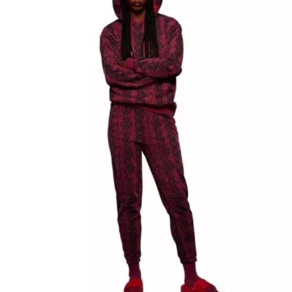 NWT Adidas x Ivy Park Beyonce Unisex Sweat Pant And Hoodie Set, Cherry Wood - Picture 1 of 16